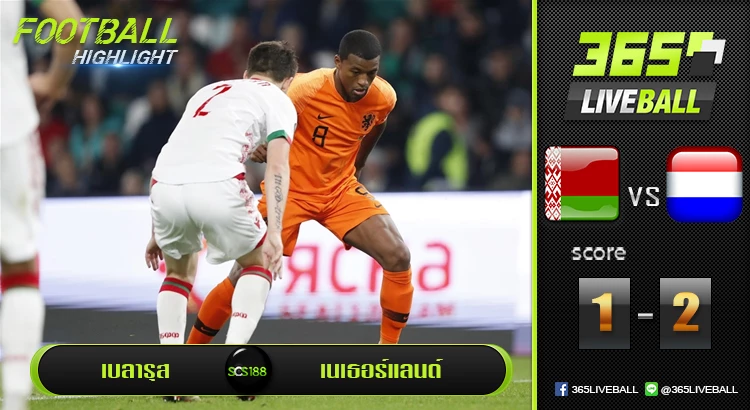 เบลารุส vs เนเธอร์แลนด์
