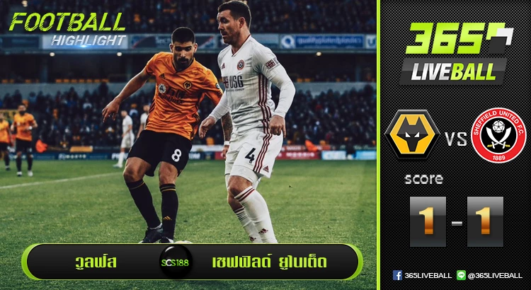 วูลฟ์ส vs เชฟฟิลด์ ยูไนเต็ด