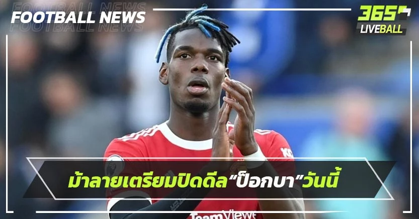 ม้าลายเตรียมปิดดีล“ป็อกบา”วันนี้-เปิดตัวต้นเดือนหน้า