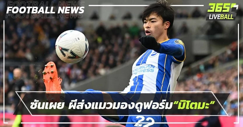 ซันเผย ผีส่งแมวมองดูฟอร์ม“มิโตมะ”