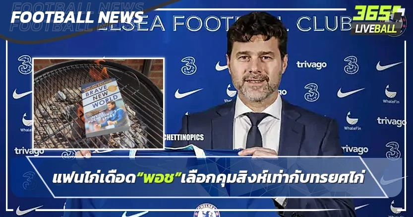 แฟนไก่เดือด“พอช”เลือกคุมสิงห์เท่ากับทรยศไก่