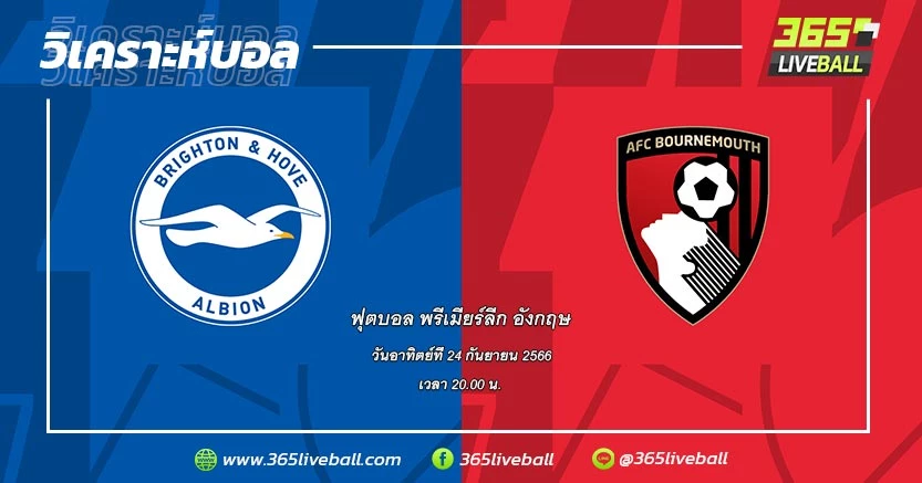 ไบรท์ตัน & โฮฟ อัลเบียน (5) vs บอร์นมัธ (13)