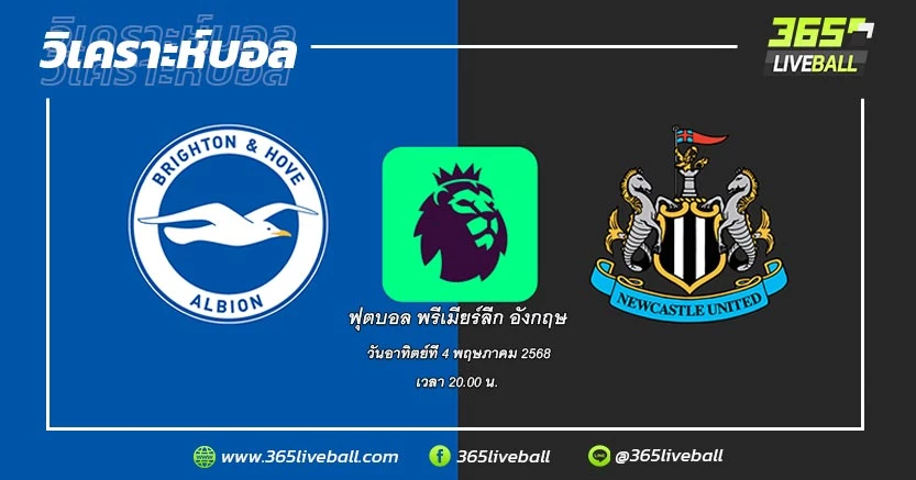 ไบรท์ตัน & โฮฟ อัลเบียน (9) vs นิวคาสเซิ่ล ยูไนเต็ด (3)