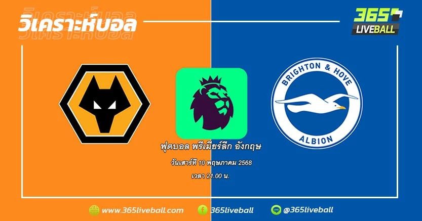 วูล์ฟแฮมป์ตัน วันเดอเรอร์ส (13) vs ไบรท์ตัน & โฮฟ อัลเบียน (10)