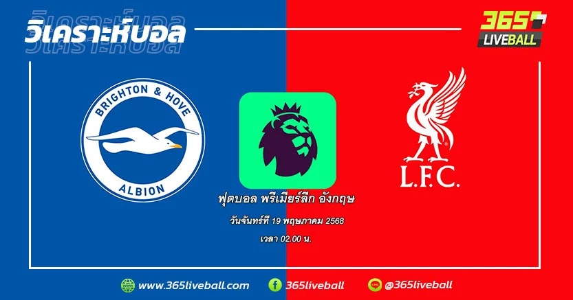 ไบรท์ตัน & โฮฟ อัลเบียน (9) vs ลิเวอร์พูล (1)