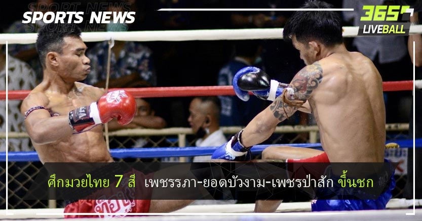 ศึกมวยไทย 7 สี  เพชรรภา-ยอดบัวงาม-เพชรป่าสัก ขึ้นชก