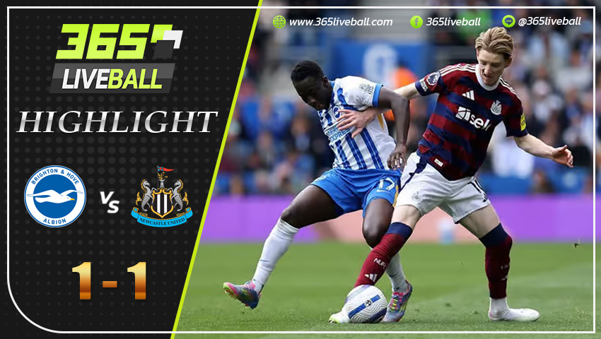 ไฮไลท์ ไบรท์ตัน พบ นิวคาสเซิ่ล