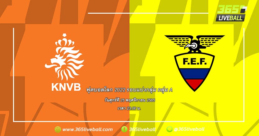 ทีมชาติเนเธอร์แลนด์ (1) vs ทีมชาติเอกวาดอร์ (2)